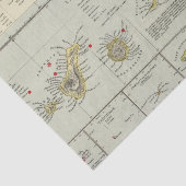 Inseln, Atlantik Seidenpapier (Ausschnitt)