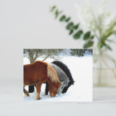 InselnHästar - Häst Postkarte (Stehend Vorderseite)