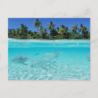 Inselparadies Postkarte