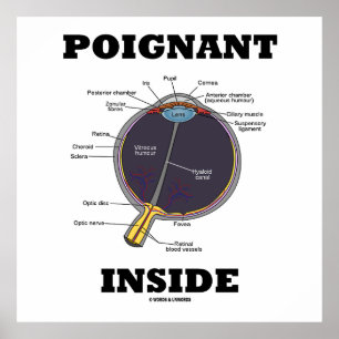 Inside (anatomisches Auge) Poster