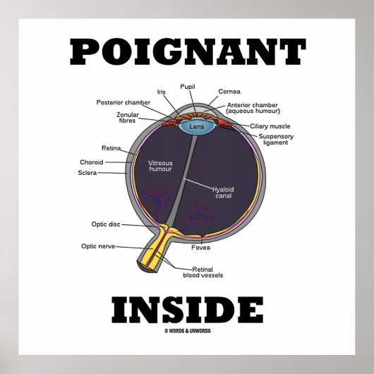 Inside (anatomisches Auge) Poster (Vorne)