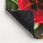Inside Banja Luka Tulip, Oregon Mousepad (Ecke)