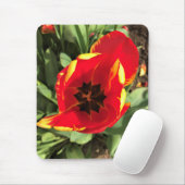 Inside Banja Luka Tulip, Oregon Mousepad (Mit Mouse)
