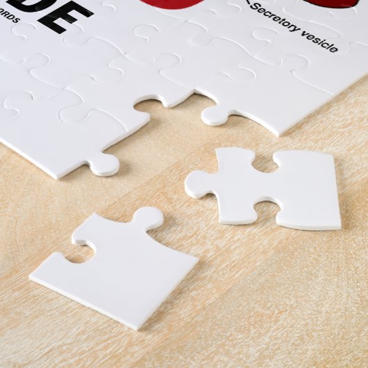 Inside (Biologie eukaryotische Zelle) Puzzle (Seite)