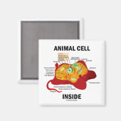 Inside (Eukaryote Zellbiologie) Magnet (Vorderseite/Rückseite)