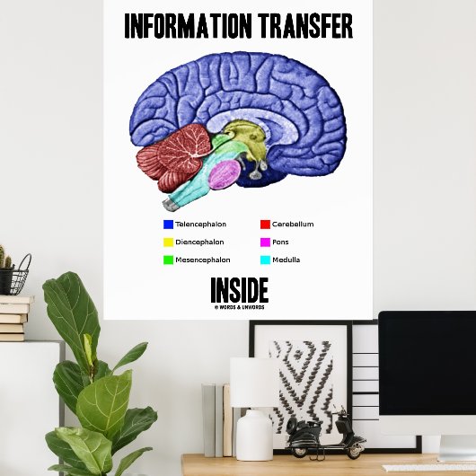 Inside (Gehirnanatomie) Poster (Heimbüro)