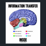Inside (Gehirnanatomie) Poster<br><div class="desc">Dieses lehrreiche,  wissenschaftliche Poster mit den verschiedenen Teilen des menschlichen Gehirns und dem Sprichwort "Information Transfer Inside" zeigen Ihre wry anatomische Seite.</div>
