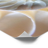 Inside Nautilus Poster (Ecke)