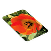 Inside Orange Tulip Magnet (Rechte Seite)