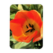 Inside Orange Tulip Magnet (Vertikal)