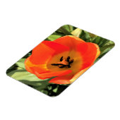 Inside Orange Tulip Magnet (Linke Seite)
