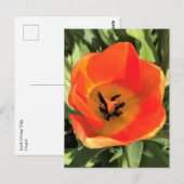 Inside Orange Tulip Postkarte (Vorne/Hinten)