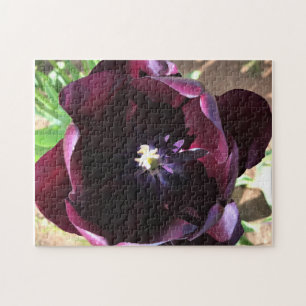 Inside Queen of the Night Tulip Puzzle