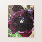 Inside Queen of the Night Tulip Puzzle (Vertikal)