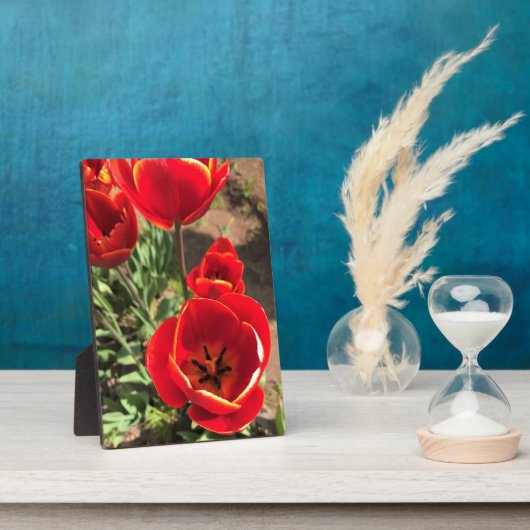 Inside Red Tulips Fotoplatte (Seite)