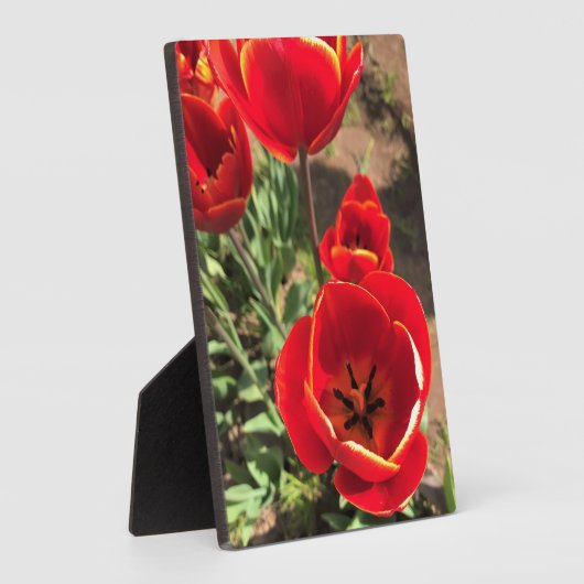 Inside Red Tulips Fotoplatte (Seite)