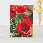 Inside Red Tulips Karte (Gelbe Blume)