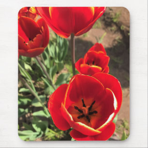 Inside Red Tulips Mousepad