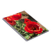 Inside Red Tulips Notizblock (Rechte Seite)