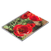 Inside Red Tulips Notizblock (Linke Seite)