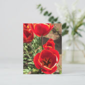 Inside Red Tulips Postkarte (Stehend Vorderseite)