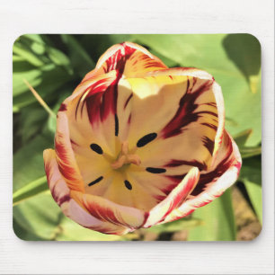Inside Red & White Tulip Mousepad
