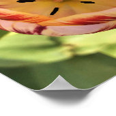 Inside Red & White Tulip Poster (Ecke)