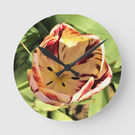 Inside Red & White Tulip Runde Wanduhr (Vorderseite)