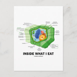 Inside What I Eat (Plant Cell Vegetarian Humor) Postkarte