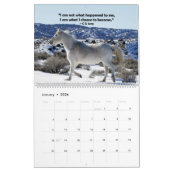 Inspektionskataloge mit WildPferden Kalender (Jan 2026)