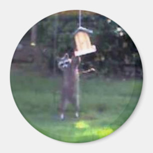 Inspektor Raccoon Magnet