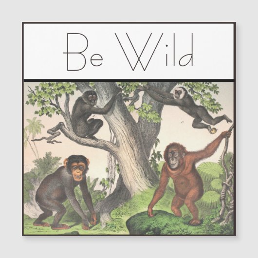 Inspiration Affen Schimpanse Vintag Magnetkarte (Vorderseite)