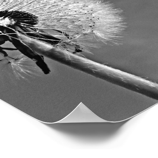 Inspiration, die sie Ließ, Zitat mit Lüstern. Poster (Ecke)