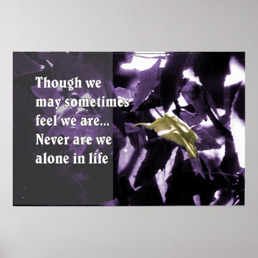 Inspiration durch die Natur Poster (Vorne)