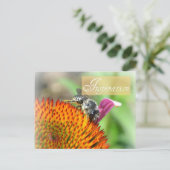 Inspiration Echinacea and Bee Post Card Postkarte (Stehend Vorderseite)