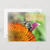 Inspiration Echinacea and Bee Post Card Postkarte (Vorne/Hinten)