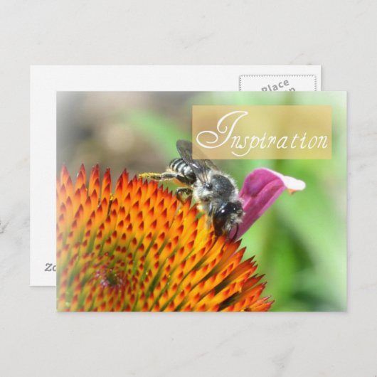 Inspiration Echinacea and Bee Post Card Postkarte (Vorne/Hinten)
