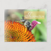 Inspiration Echinacea and Bee Post Card Postkarte (Vorderseite)