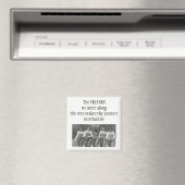 Inspiration entlang des Zitats der Reisegenschaft Magnet (In Situ (Geschirrspüler))