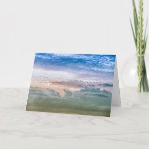 Inspiration für das Team für Vogel-Migration nach  Karte