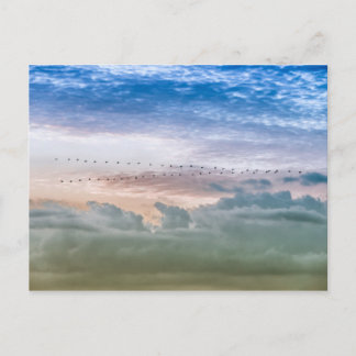 Inspiration für das Team für Vogel-Migration nach  Postkarte