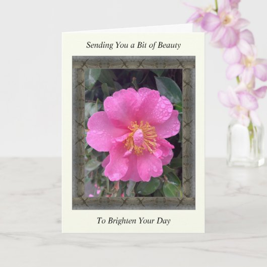 Inspiration Get Well Card mit rosa Kamelie Karte (Orchidee)