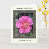 Inspiration Get Well Card mit rosa Kamelie Karte (Gelbe Blume)