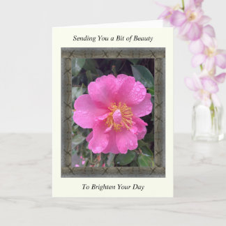 Inspiration Get Well Card mit rosa Kamelie Karte