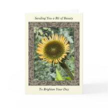 Inspiration Get Well Card mit Young Sunflower