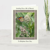 Inspiration Get Well-Well-Card mit Monarch Butterf Karte (Vorderseite)