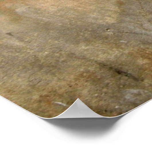 Inspiration Graffiti - Drucken Poster (Ecke)