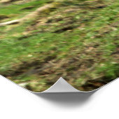 Inspiration Indira Gandhi Zitat w Tiger Inspiriere Poster (Ecke)