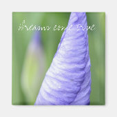 Inspiration Iris Magnet (Vorne)