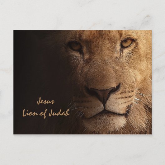 Inspiration Jesus Lion von Juda Christlich Postkarte (Vorderseite)